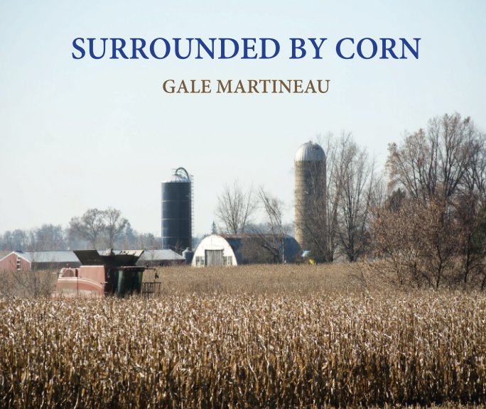 View Surrounded by Corn - THIS ONE by Gale Martineau