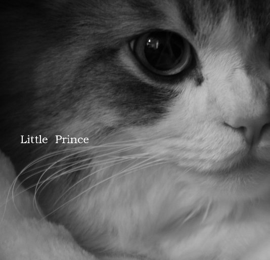 View Little Prince by ciancian