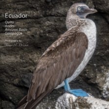 Ecuador: Quito, Amazon and Galapagos book cover