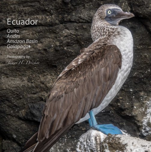 Ver Ecuador: Quito, Amazon and Galapagos por James H. Dricker