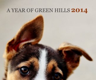 A Year of Green Hills 2014 book cover