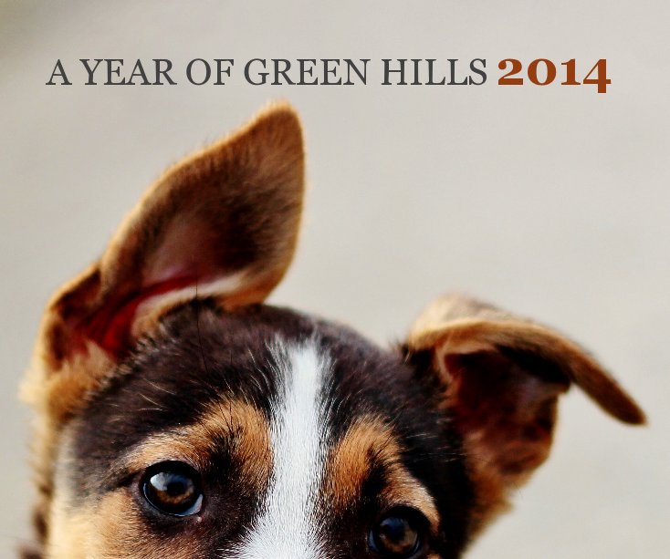Bekijk A Year of Green Hills 2014 op Ruth McCracken