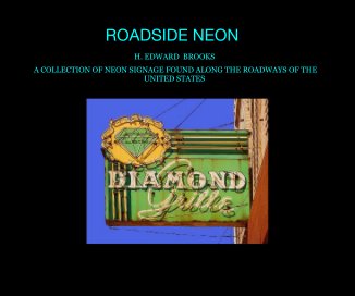 ROADSIDE NEON book cover