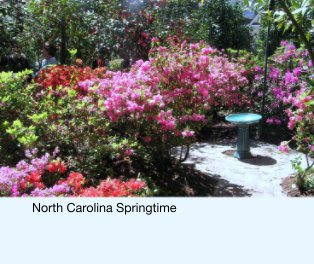North Carolina Springtime book cover