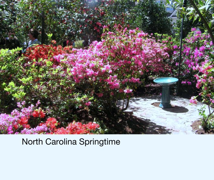 View North Carolina Springtime by John Suddath