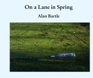 On a Lane in Spring book cover