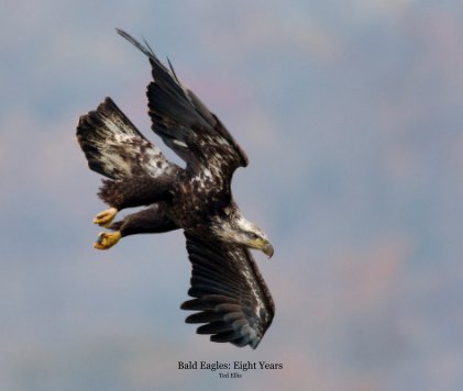 Bald Eagles: Eight Years Ted Ellis book cover