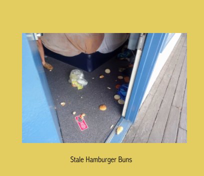 Stale Hamburger Buns book cover