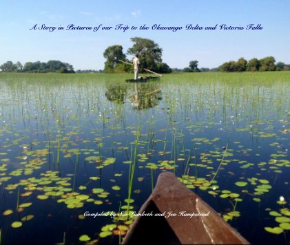 A Story in Pictures of our Trip to the Okavango Delta and Victoria Falls Compiled by Sue Lambeth and Jen Hampstead book cover
