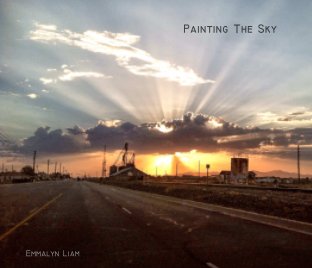 Painting The Sky book cover