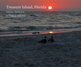 Treasure Island, Florida 2015 book cover