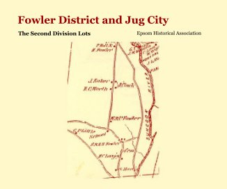 Fowler District and Jug City book cover