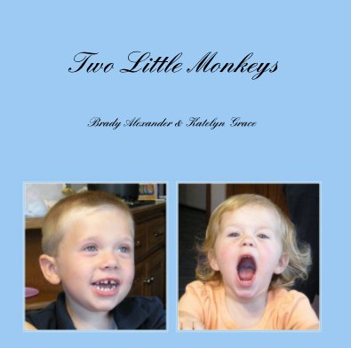Two Little Monkeys book cover