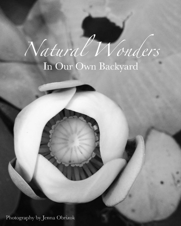 View Natural Wonders by Jenna Obrizok
