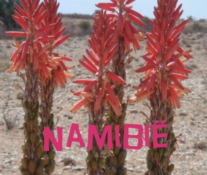 NamibiÃ« book cover