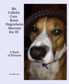 Ms. Collette Coco Rosie Dugenheim Marcum the III book cover