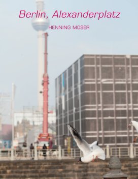 Berlin, Alexanderplatz book cover
