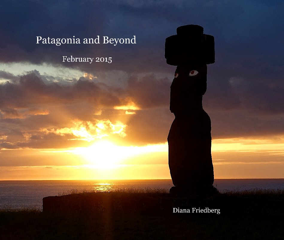 View Patagonia and Beyond by Diana Friedberg