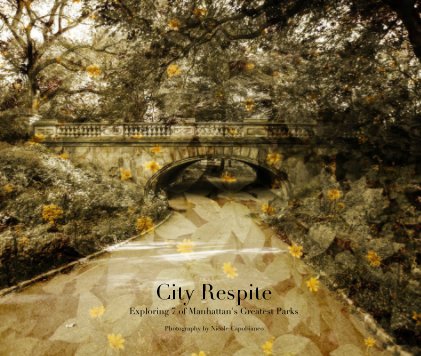 City Respite book cover