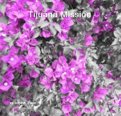Tijuana Mission book cover
