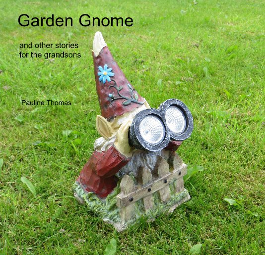 View Garden Gnome by Pauline Thomas