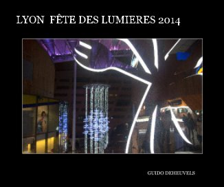LYON  FÊTE DES LUMIERES 2014 book cover