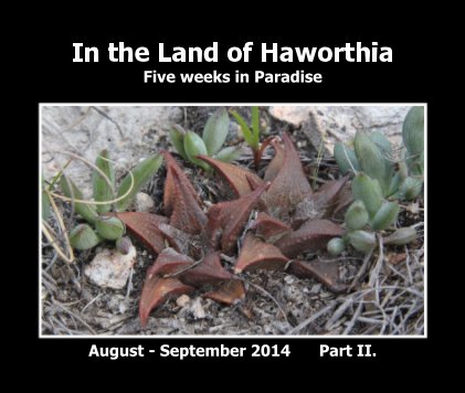 In the Land of Haworthia - Five weeks in Paradise book cover