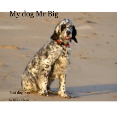 My dog Mr Big book cover