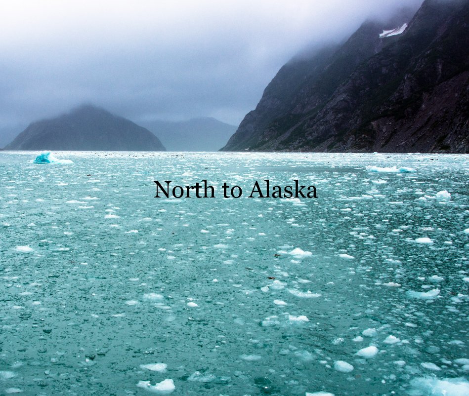 View North to Alaska by mARTy images - Helen Martyn