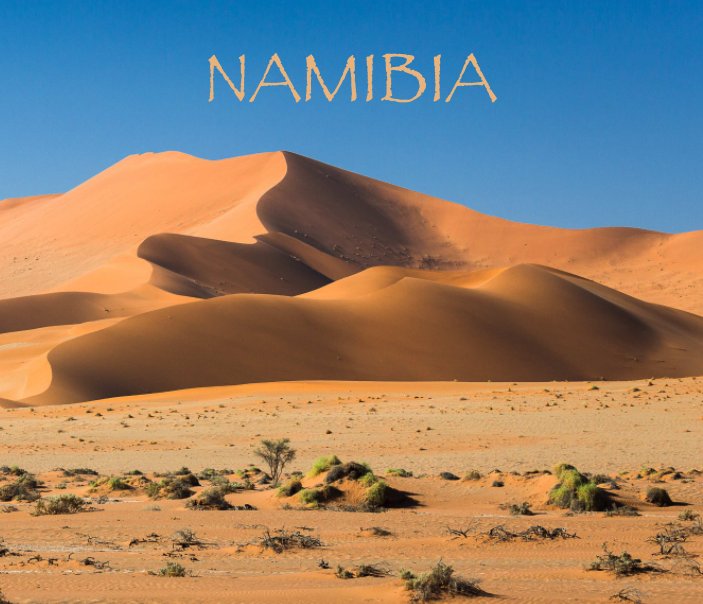 View Namibia by David Vaney