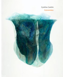 Cynthia Camlin book cover