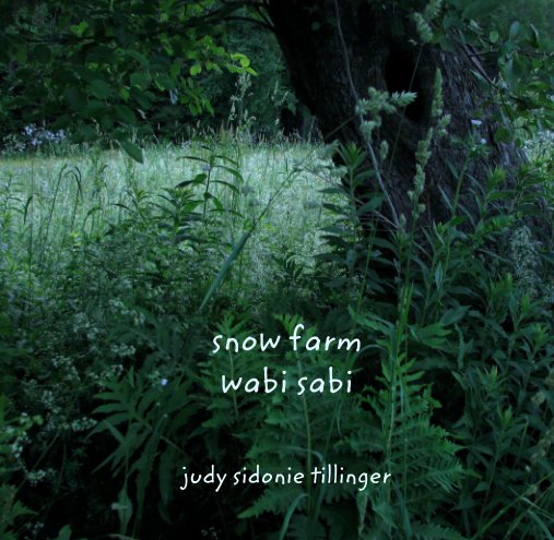 Visualizza snow farm wabi sabi di judy sidonie tillinger