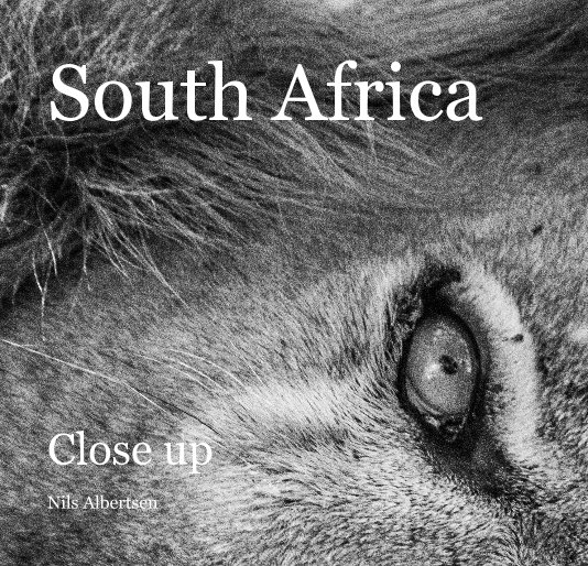 View South Africa by Nils Albertsen