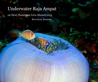 Underwater Raja Ampat book cover