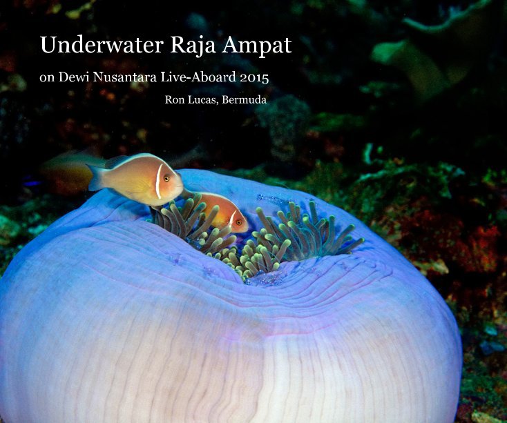 View Underwater Raja Ampat by Ron Lucas, Bermuda