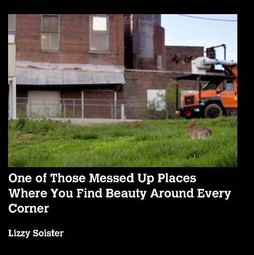 View One of Those Messed Up Places Where You Find Beauty Around Every Corner by Lizzy Soister