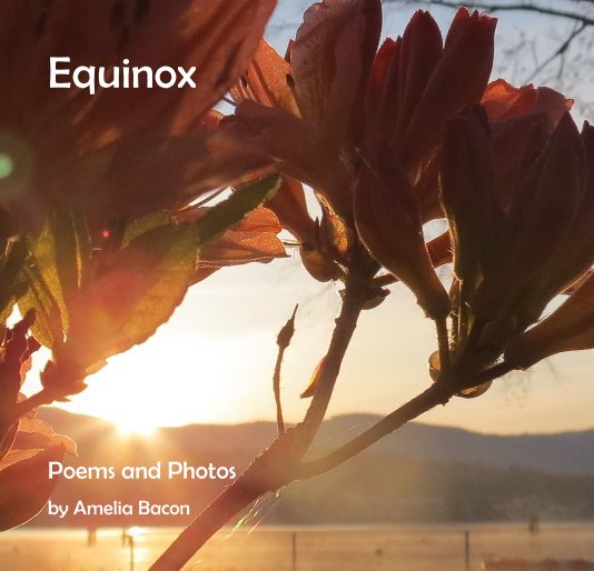 View Equinox by Amelia Bacon