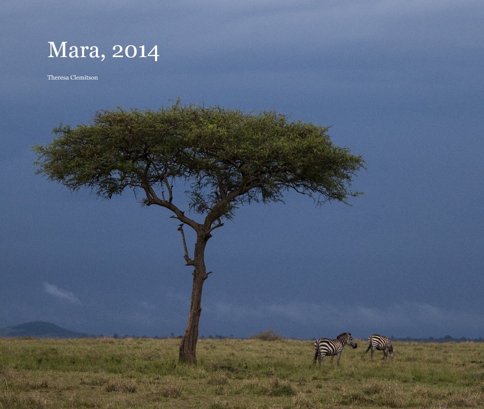 Ver Mara, 2014 por Theresa Clemitson