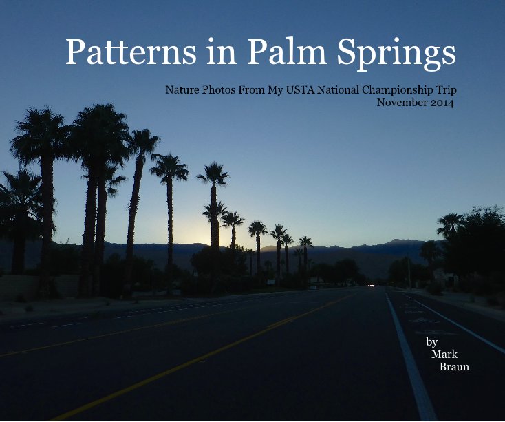 View Patterns in Palm Springs by Mark Braun
