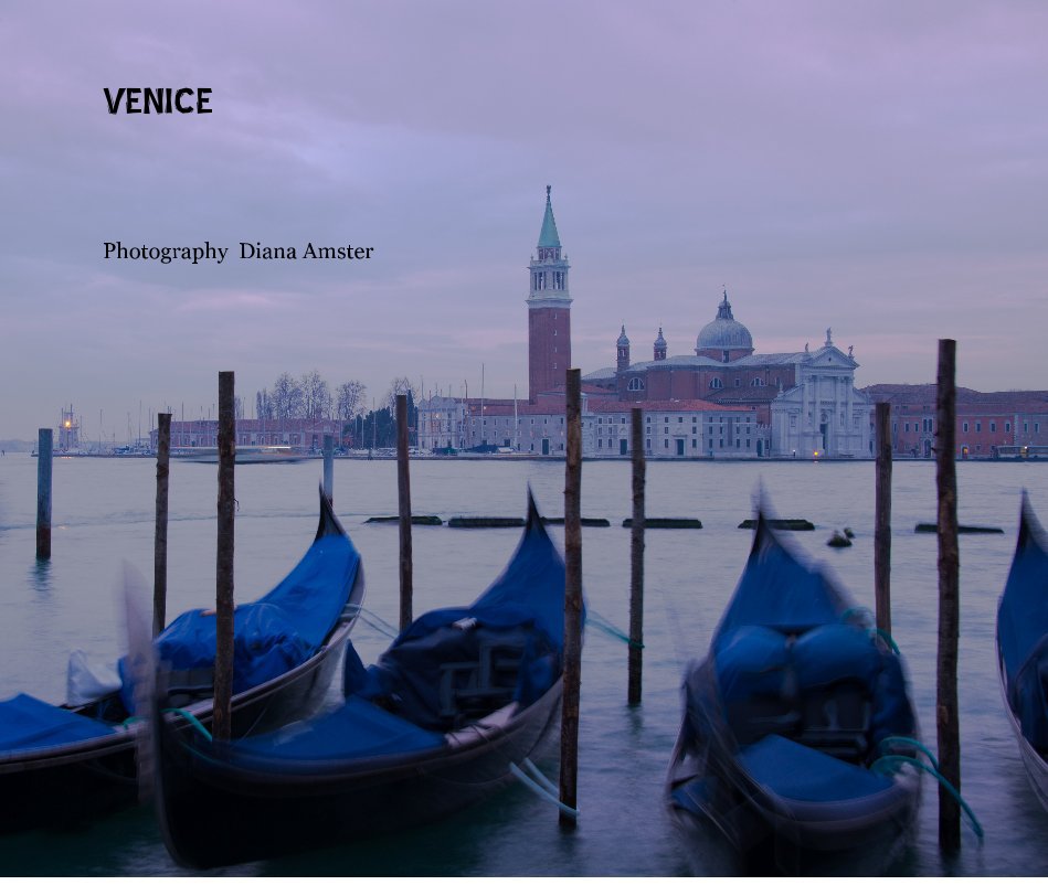 View VENICE by Photography Diana Amster