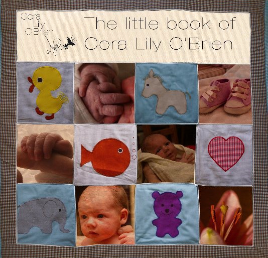 View Little book of Cora Lily O'Brien by Kieran O'Brien