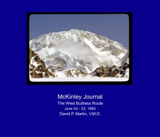 McKinley Journal book cover