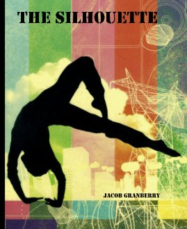 The Silhouette book cover