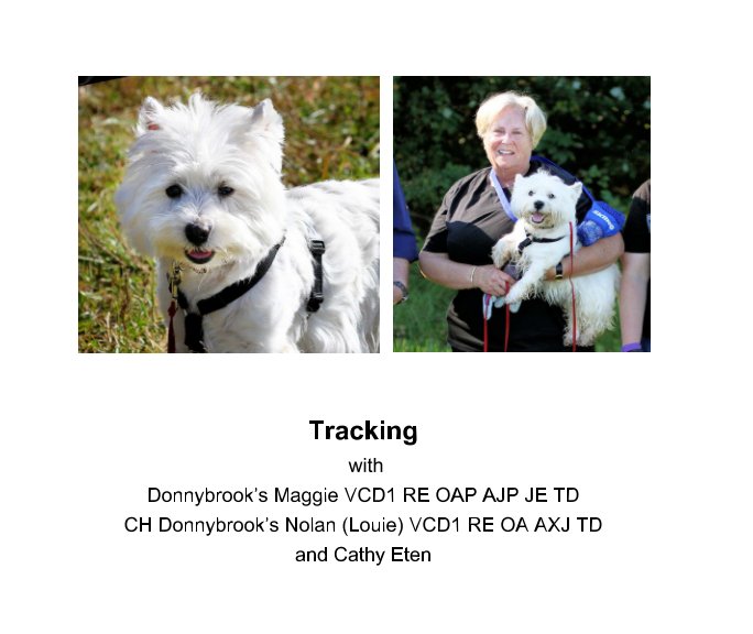 View Tracking by Cathy Eten