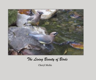The Living Beauty of Birds book cover