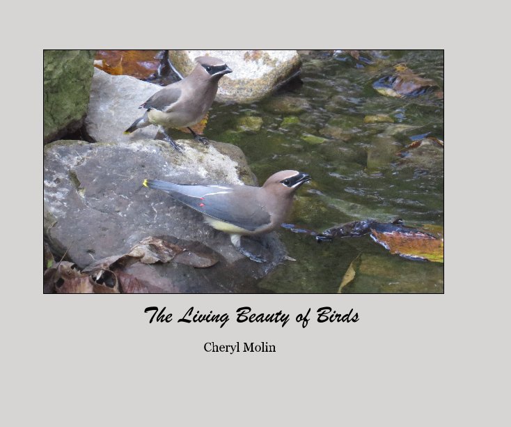 View The Living Beauty of Birds by Cheryl Molin