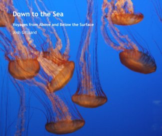 Down to the Sea book cover