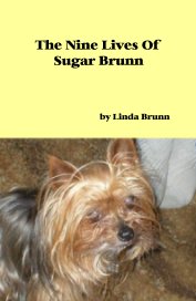 The Nine Lives Of Sugar Brunn book cover