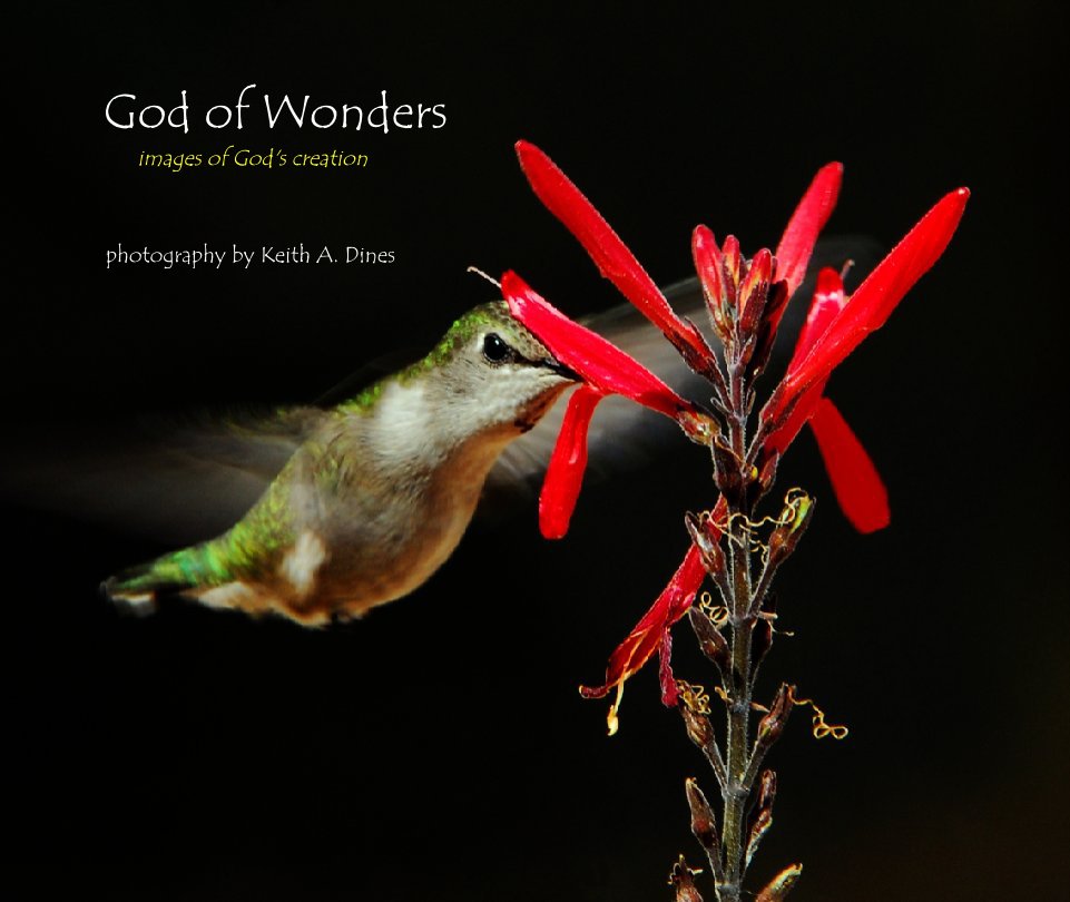 Ver God of Wonders por photography by Keith A. Dines