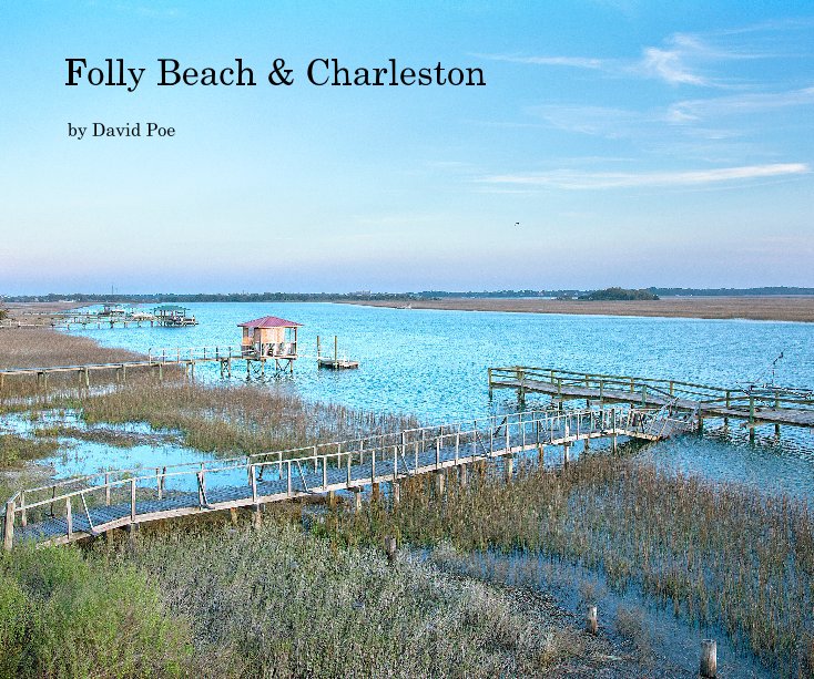 View Folly Beach & Charleston by David Poe